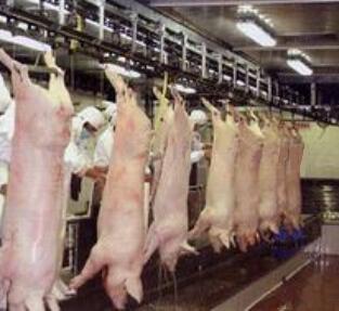 �i�������a(ch��n)��(xi��n)